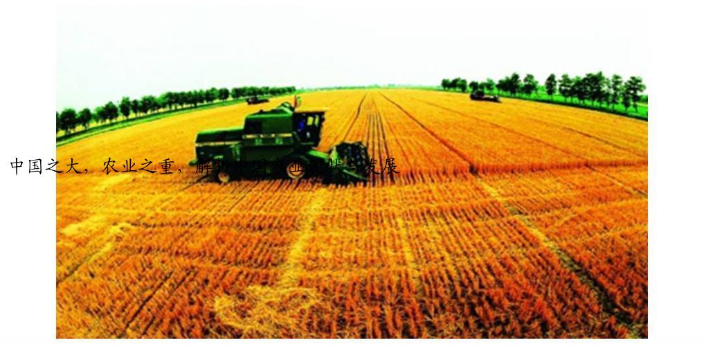 中国之大，农业之重，解析中国农业现状与发展