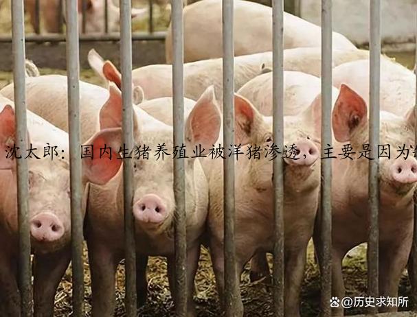 沈太郎：国内生猪养殖业被洋猪渗透，主要是因为缺少标准化